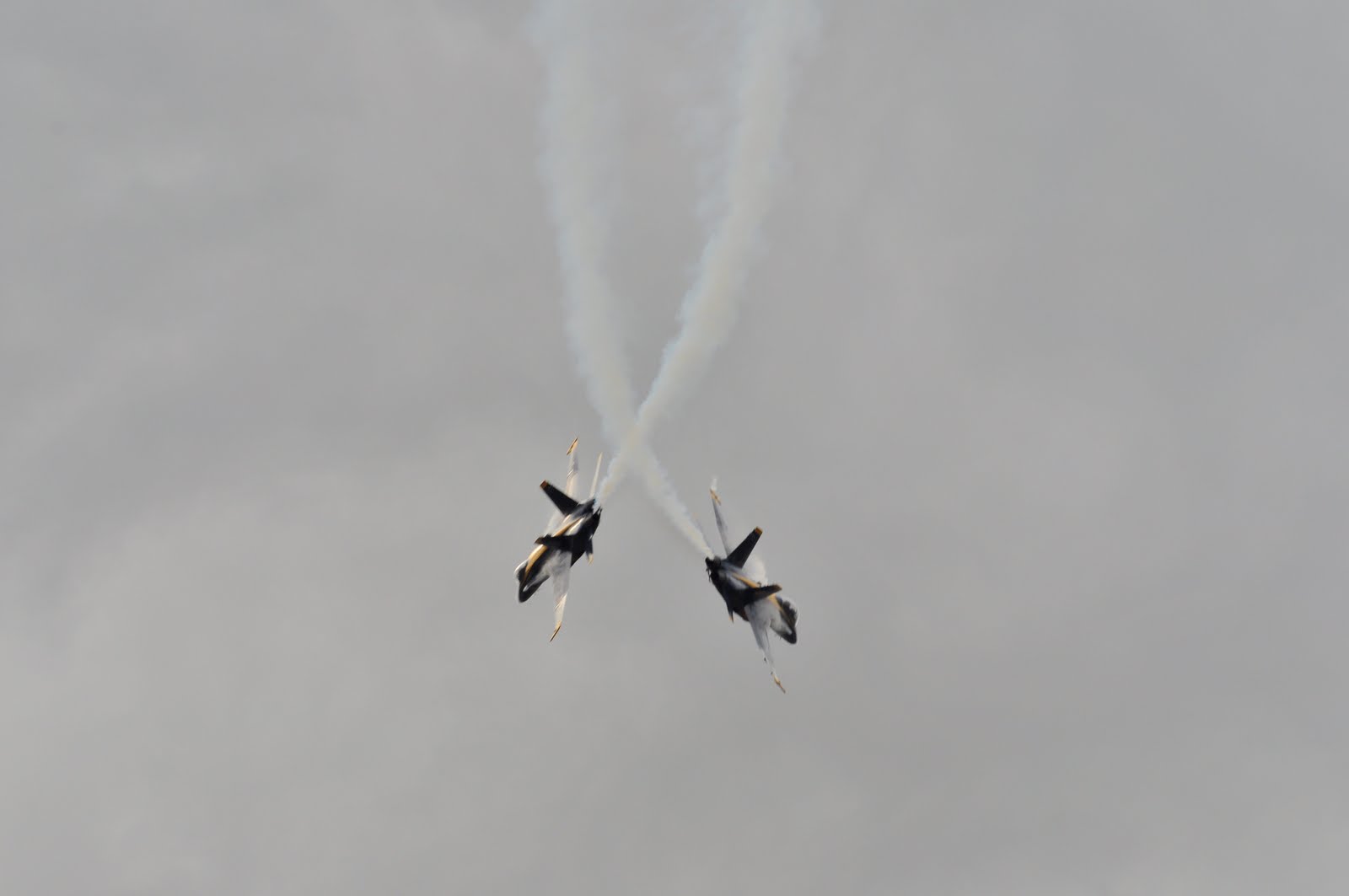 [DSC_8840.JPG]