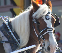 Got to get those bangs out of my eyes