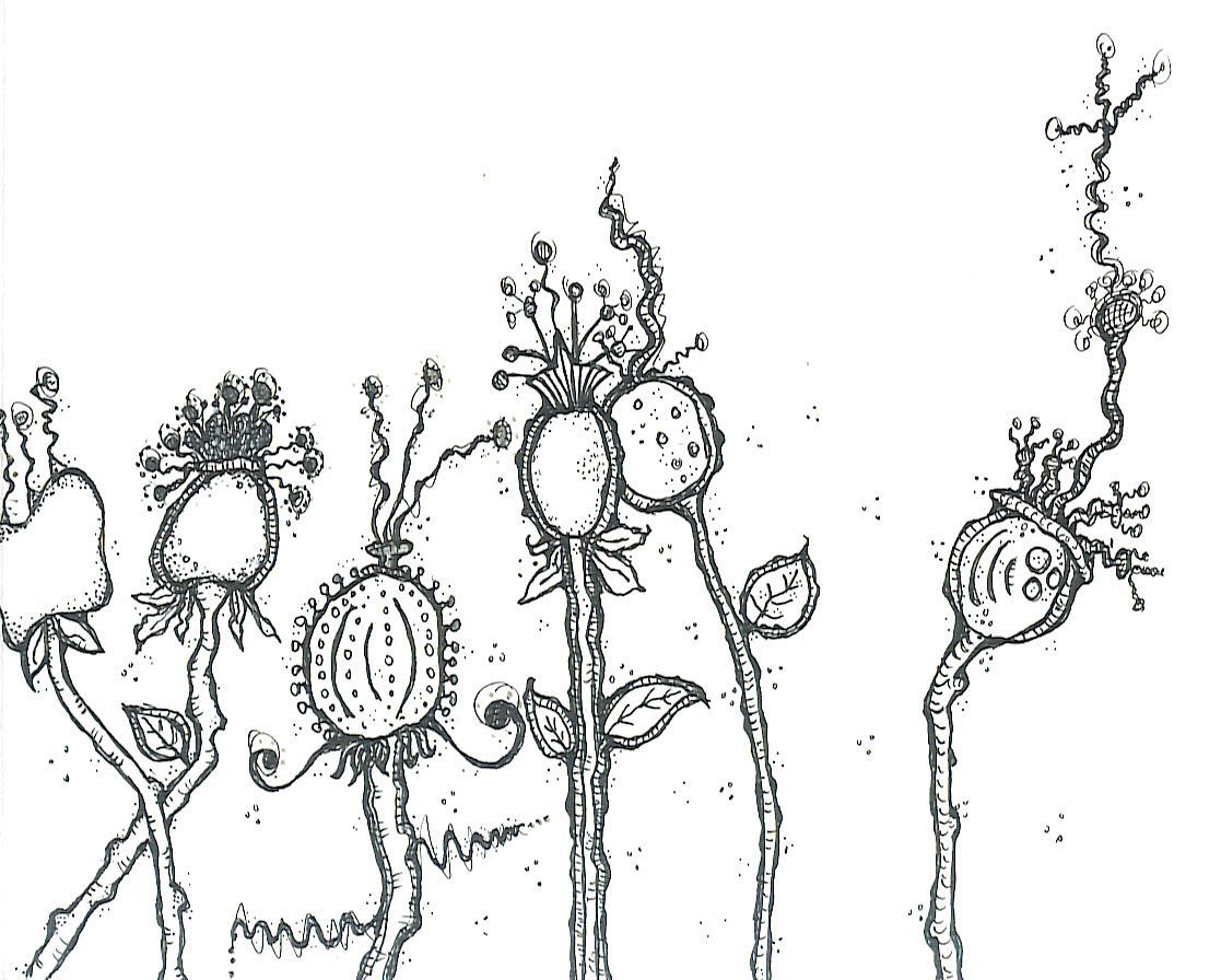 Carol Sloan Studios Sketch Book