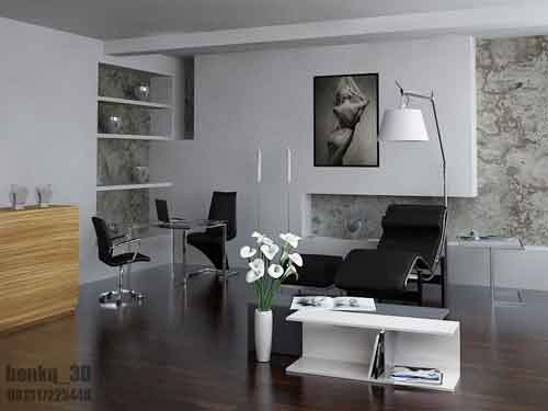 Interior Luxury Apartment