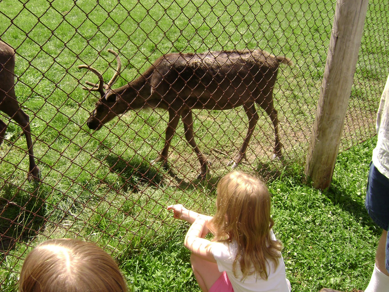 Ontario Family Fun Twin Valley Zoo