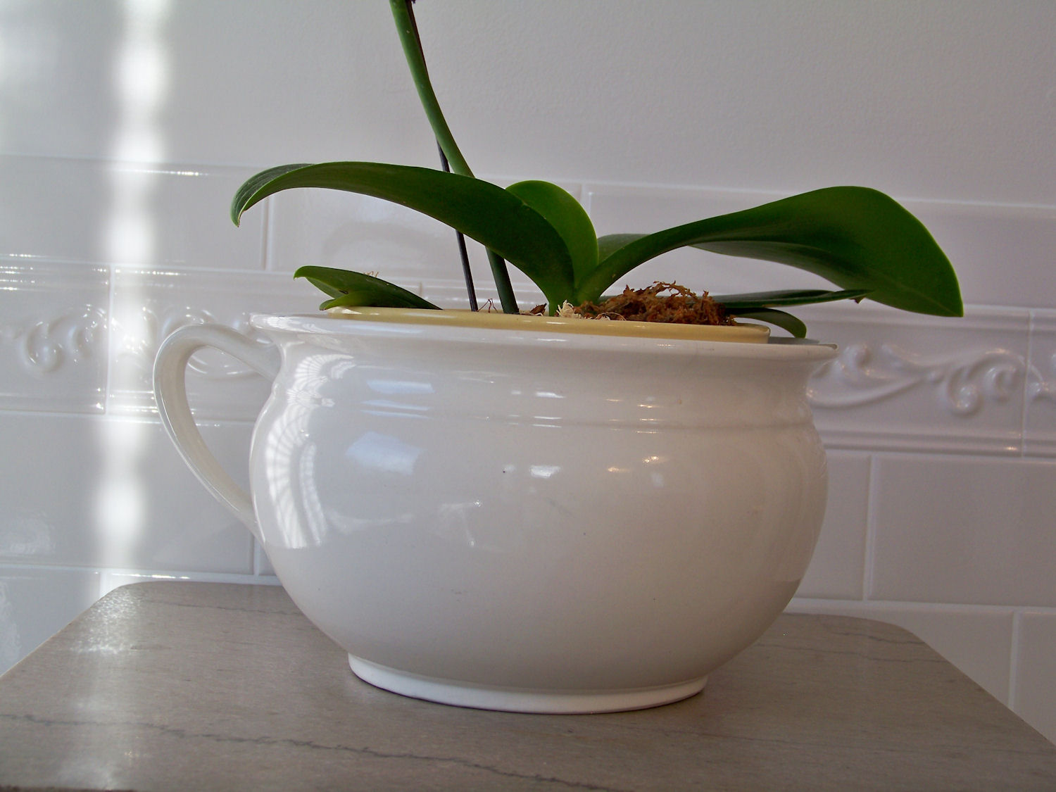 [master+bath+15.jpg]