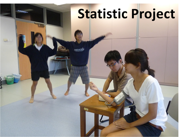 Statistics Project