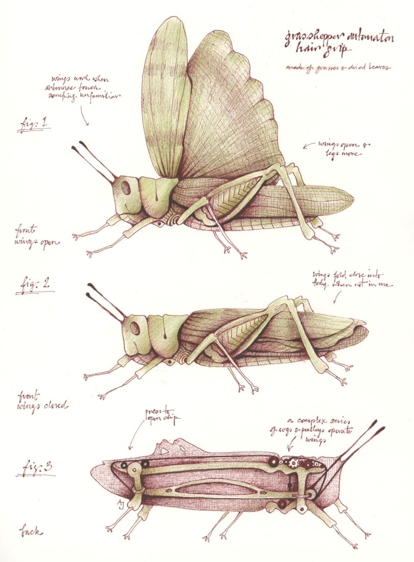 [grasshopper.jpg]