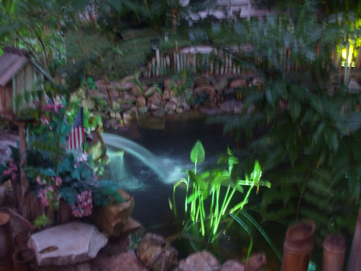 BUILDING A ROCK POND AND GARDEN