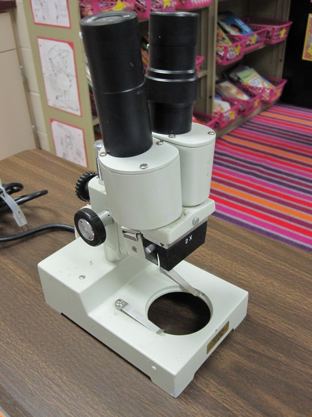 A Hiking We Will Go... Science at Leon Springs Elementary