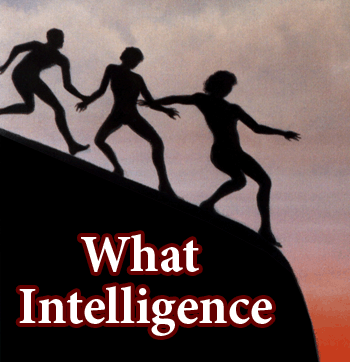 [what.intelligence.gif]