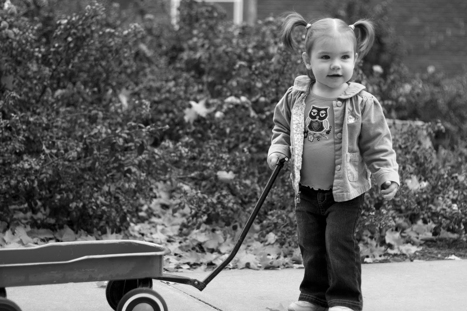 [IMG_6120bw+copy.jpg]