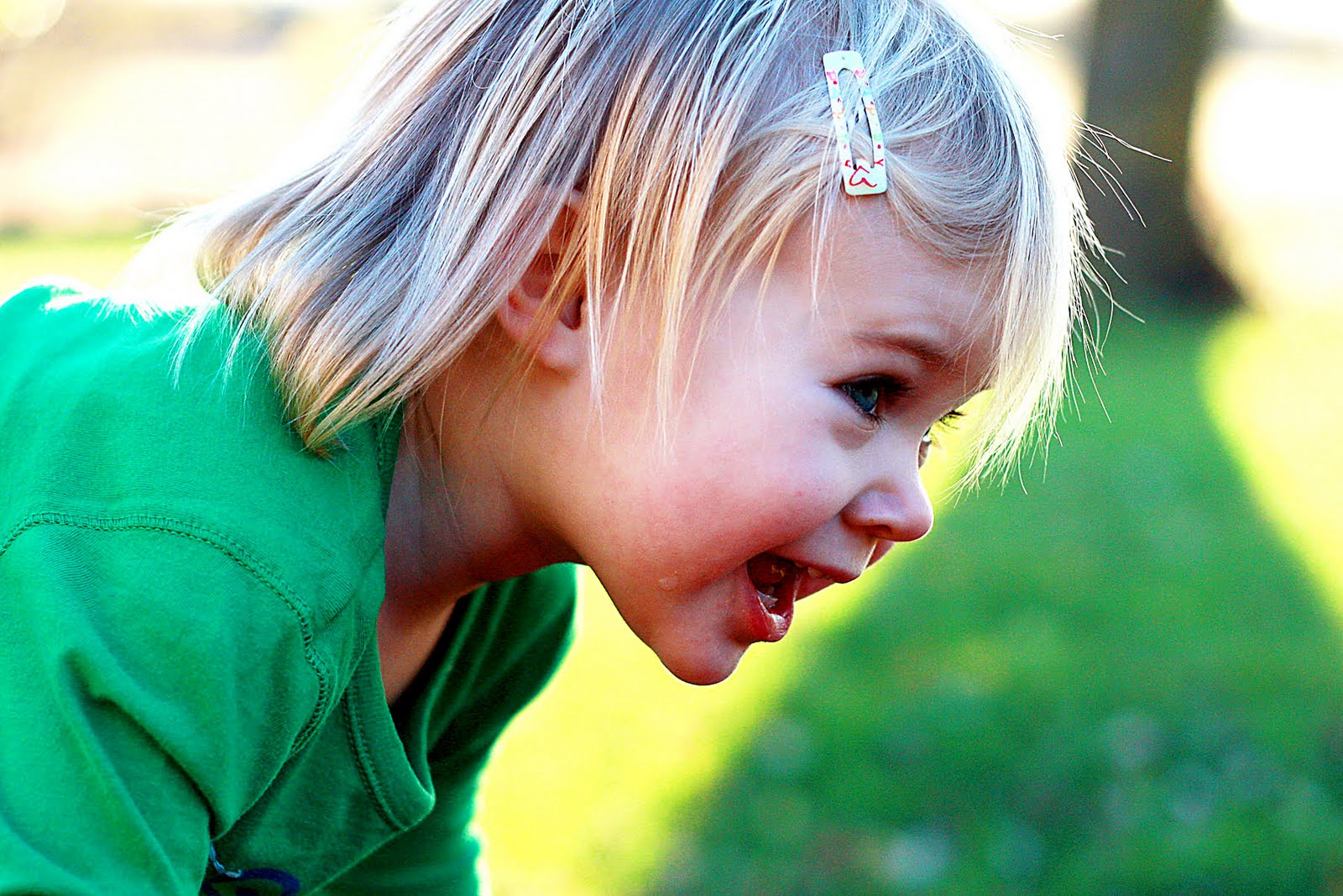 [IMG_7841colorful2.jpg]