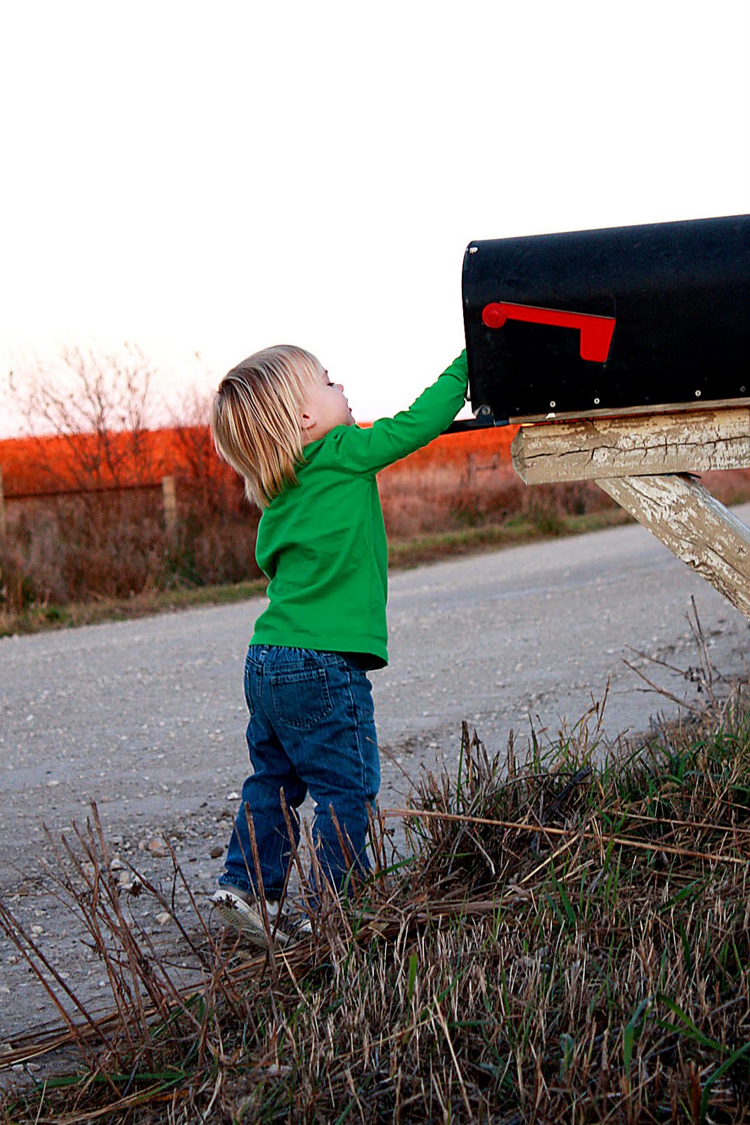 [IMG_8059colorful2.jpg]