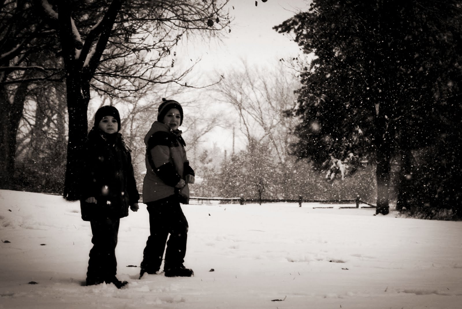 [IMG_1136brownie.jpg]