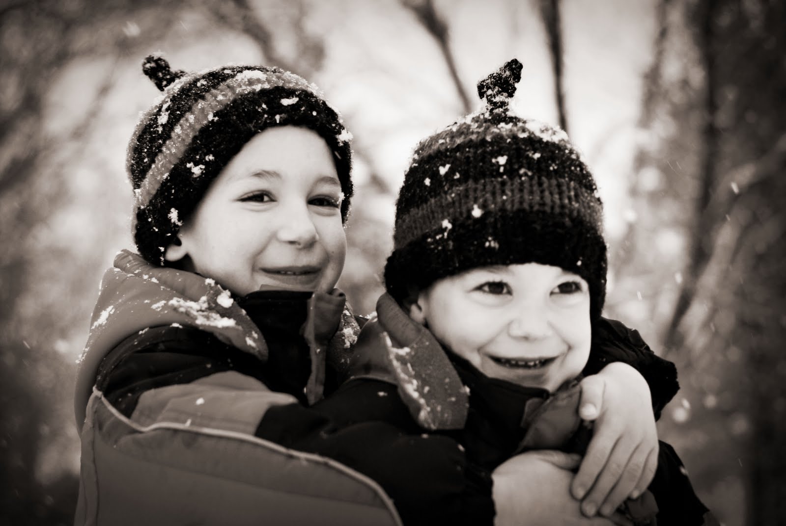 [IMG_1167brownie3.jpg]