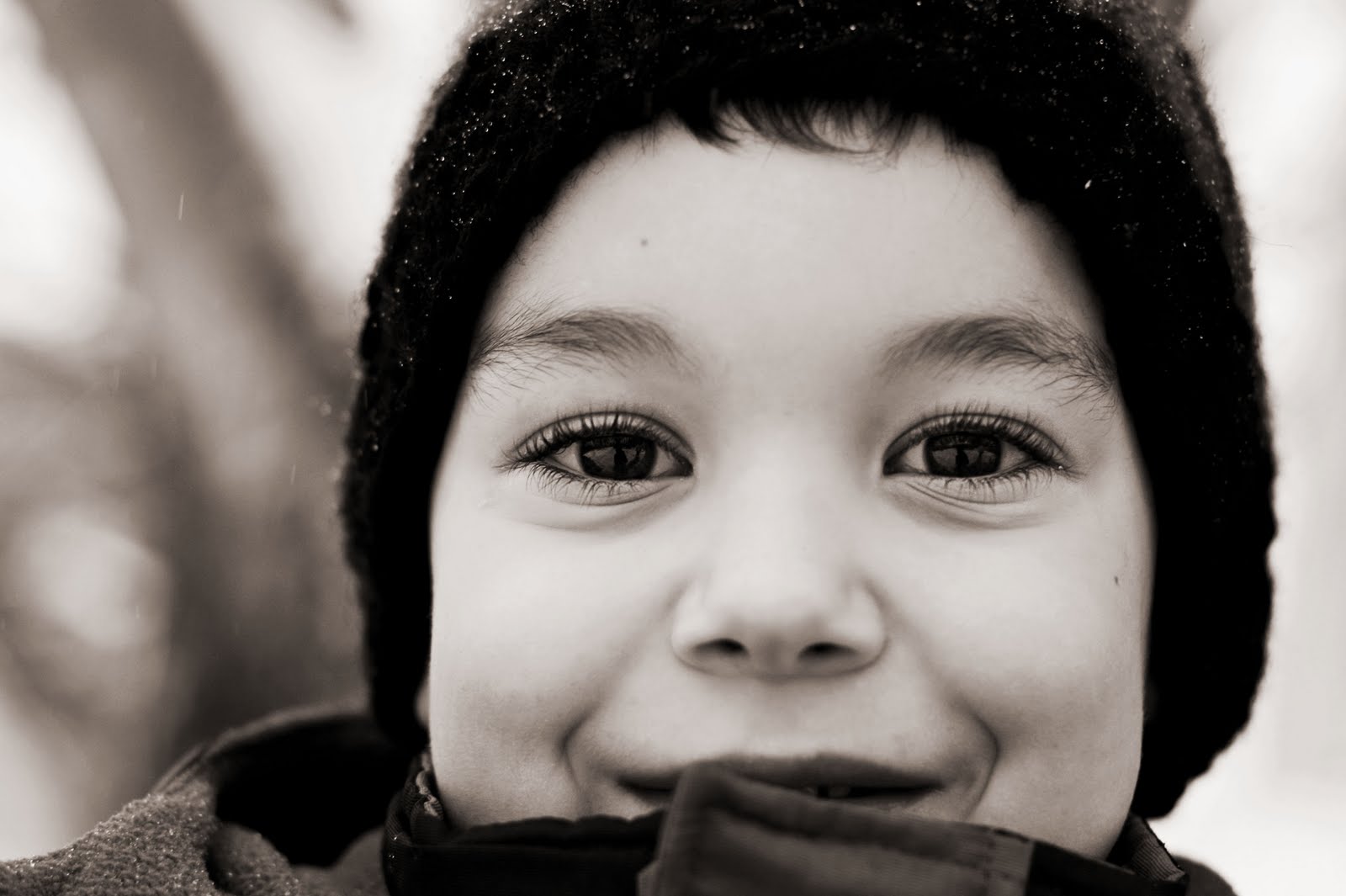 [IMG_1069brownie.jpg]