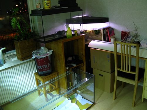 [IMG_6977sss.jpg]