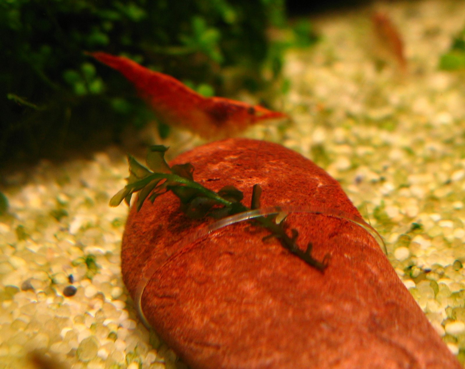[IMG_2955ssssss.jpg]