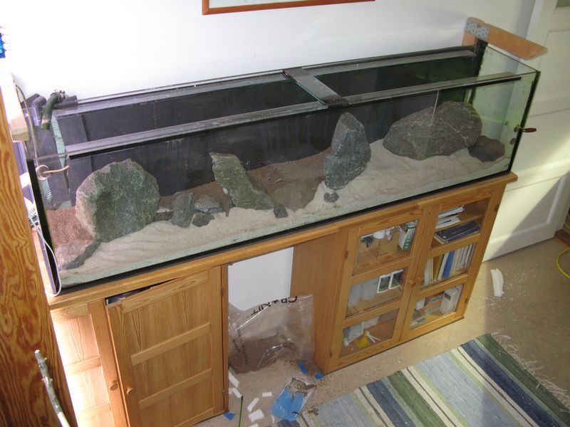 [IMG_3383.JPG]