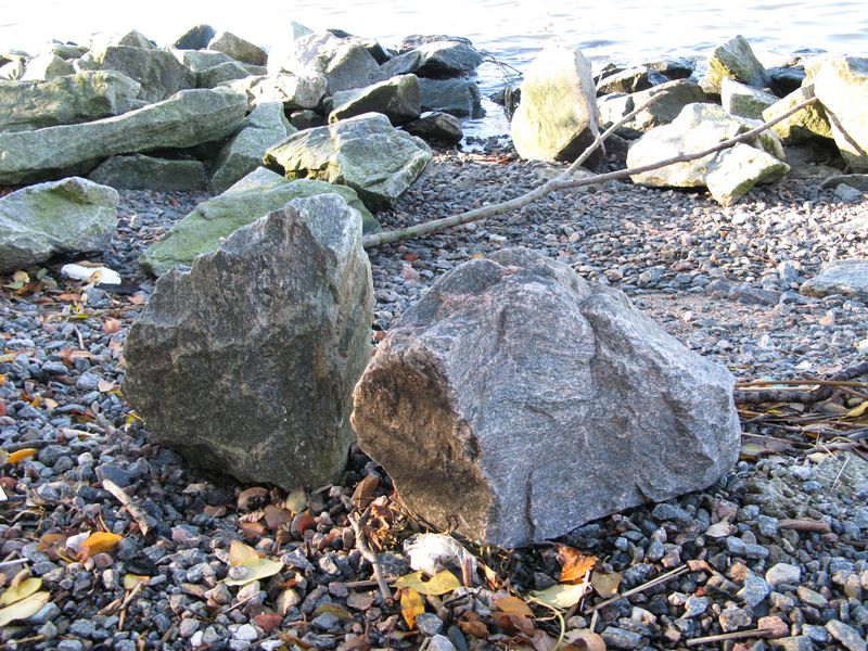 [IMG_3330.JPG]
