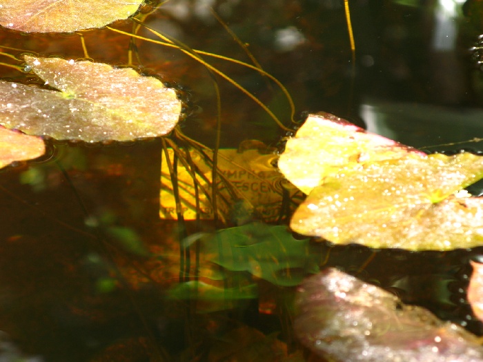 [IMG_4284.JPG]
