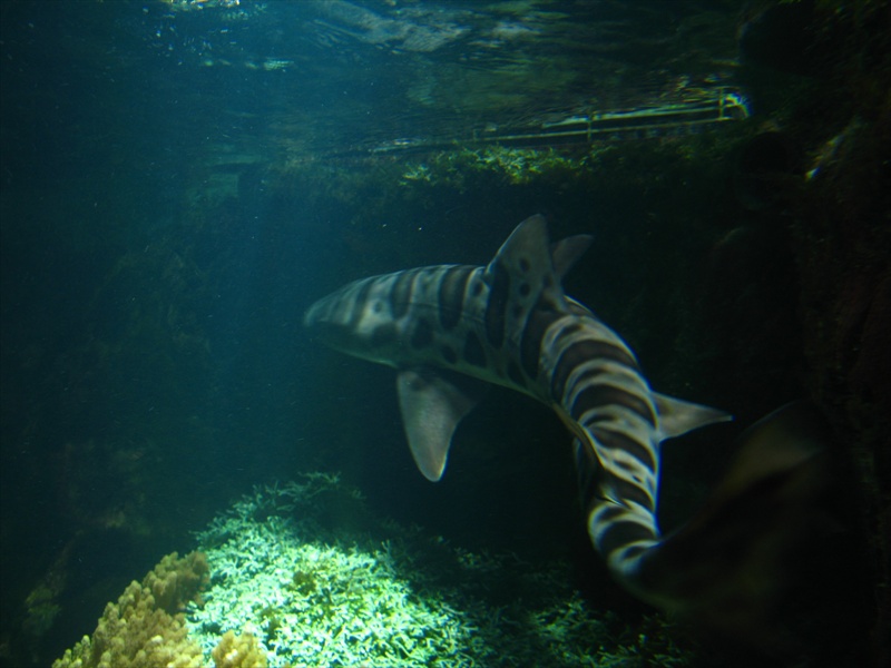 [IMG_4429.JPG]