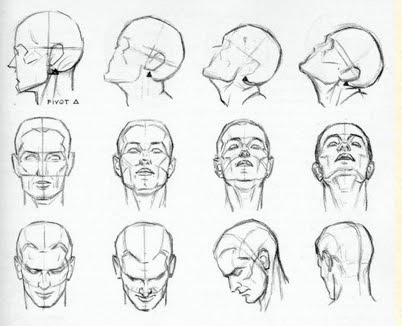 Mary Mulvihill on Art: Reference Material for Drawing the Head