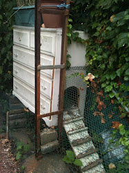 urban drawers hen into chicks coop chicken dresser run chest coops homemade diy upcycled turned garden think homestead revival furniture