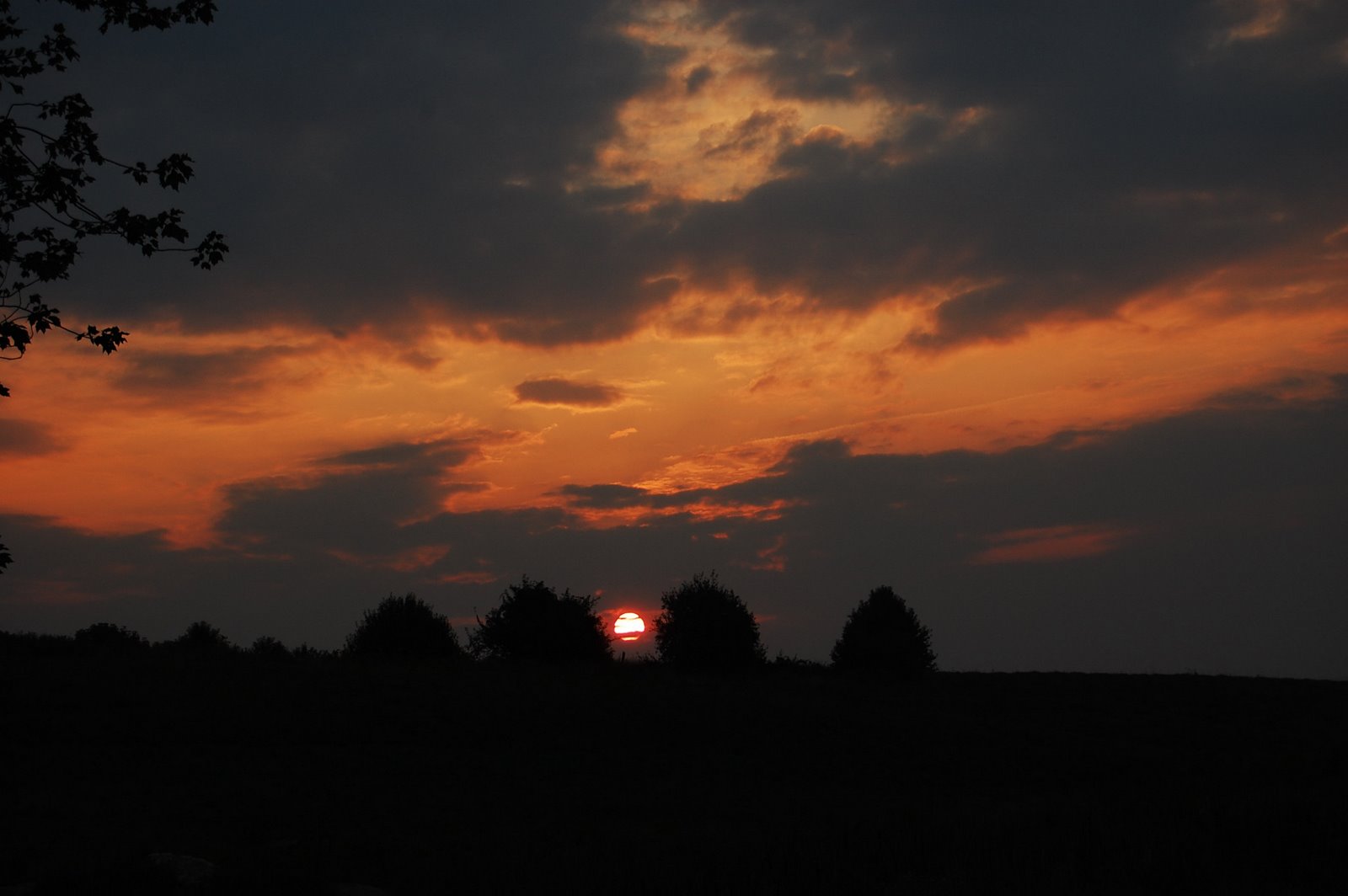 [DSC_021700019-6-08+Sunrise+No+1.JPG]