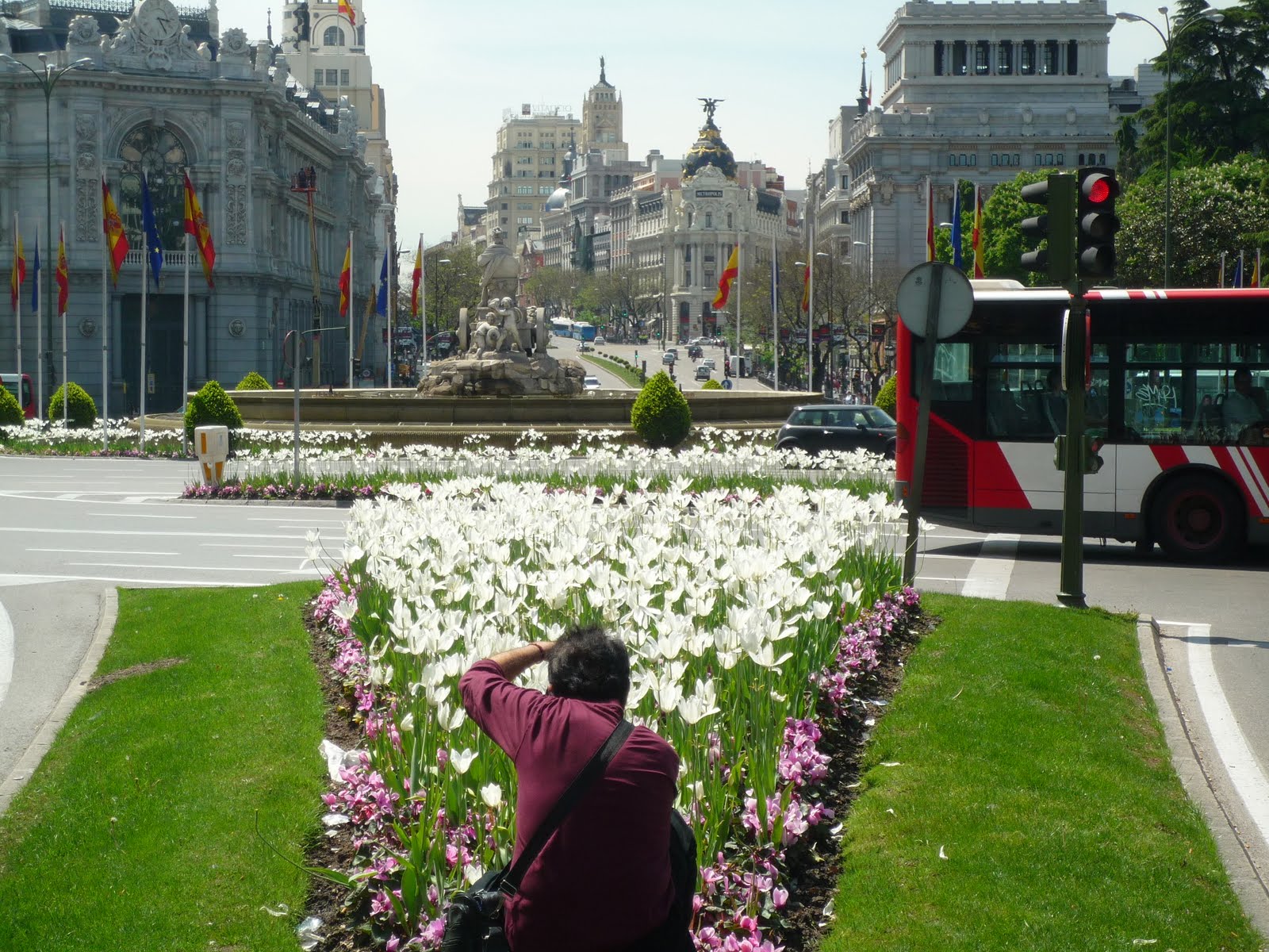 Un 10 por los tulipanes de mi ciudad Flores en la ciudad Flowers in the city