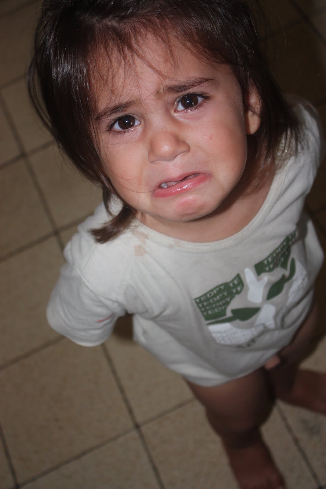 Pantoffi August 2010