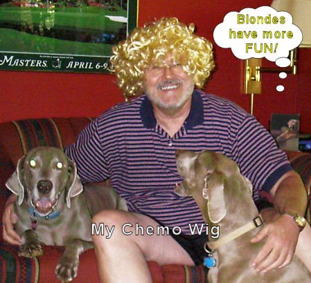 [blond+wig.htm]
