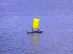 click on image for website