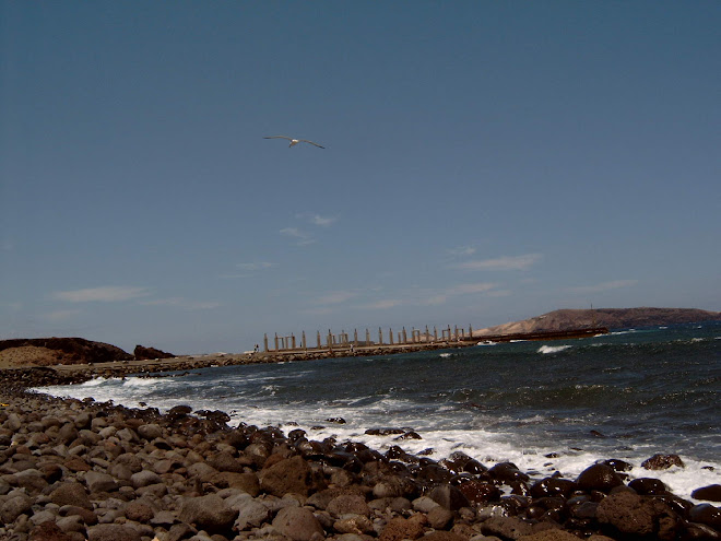 Playa del Burrero (Ingenio) y Bahía de Gando al fondo 2.003