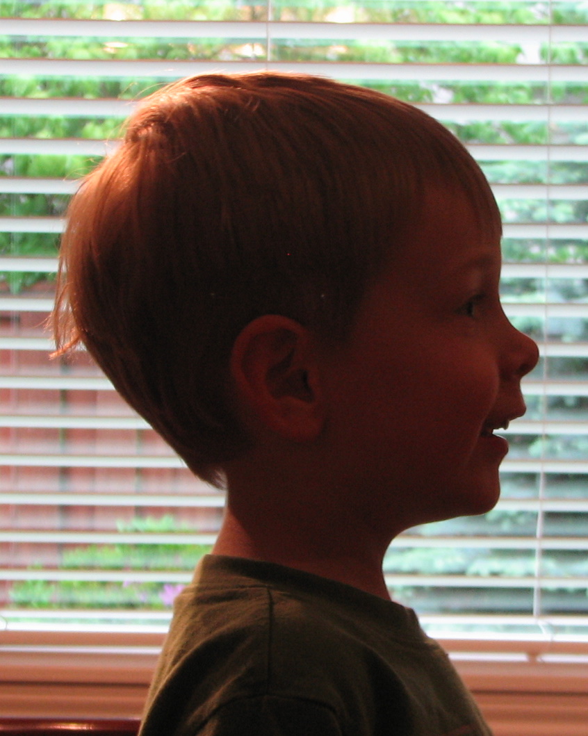 голова ребенка в профиль. детские лица в профиль. детские лица в профиль. лицо ребенка в профиль. детское лицо в профиль.