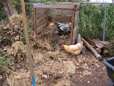 Time to turn the Compost