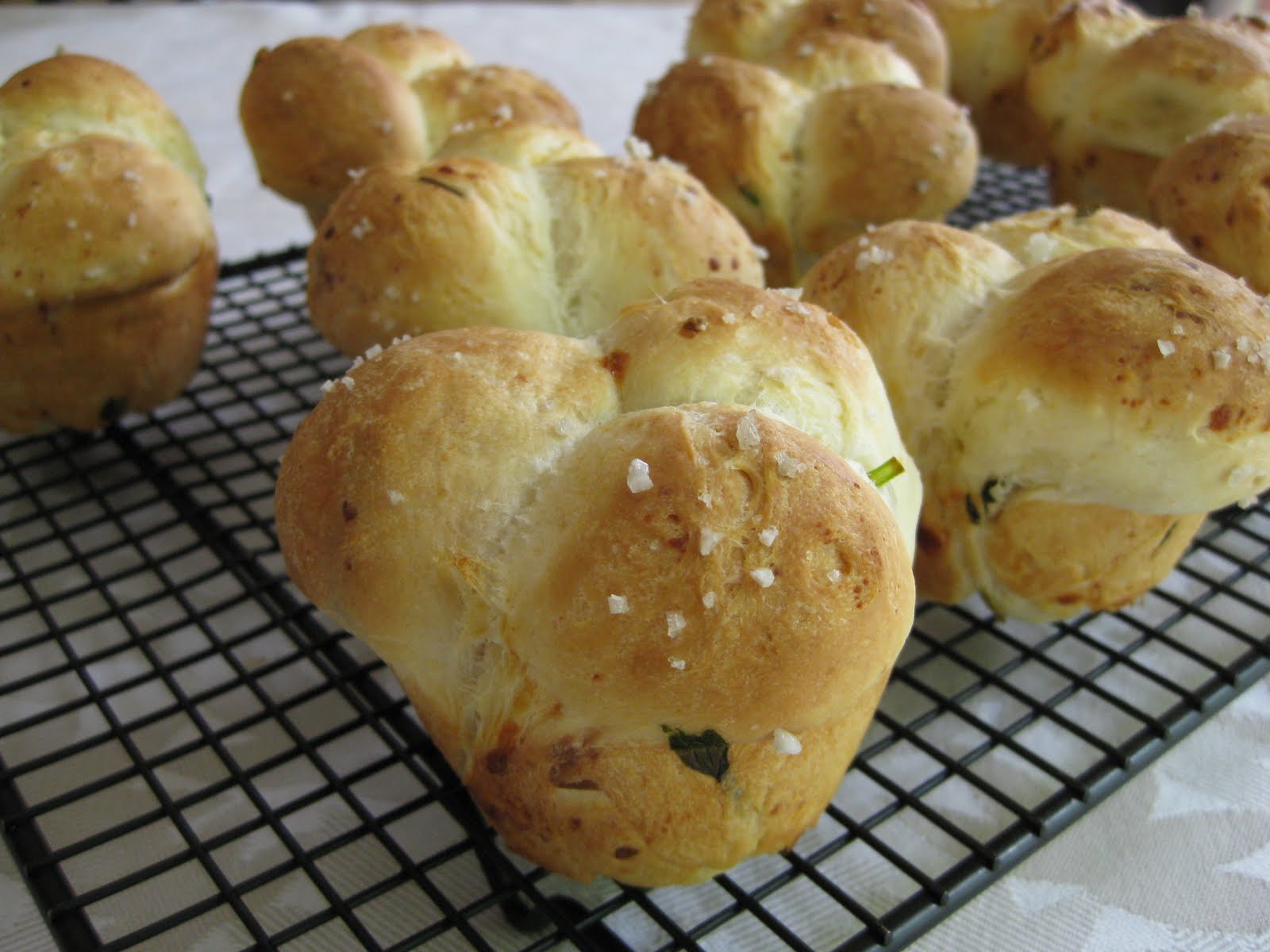 If Music be the Food of Love, Play On Homemade Ramp and Cheddar Cheese