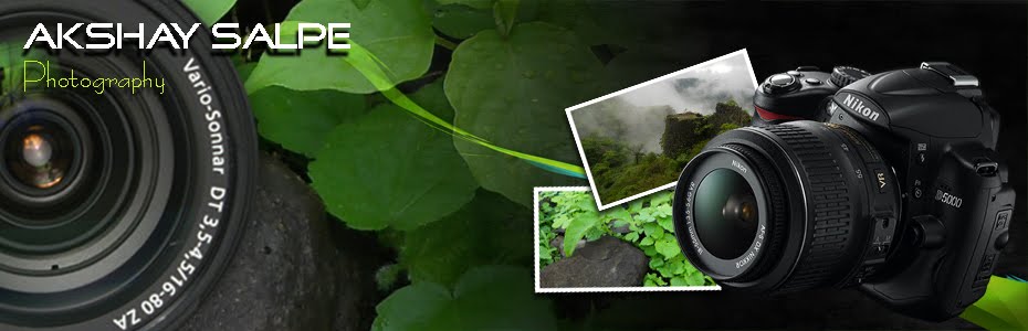Photography