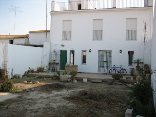 Tengounprimoarquitecto: El patio de mi casa es particular