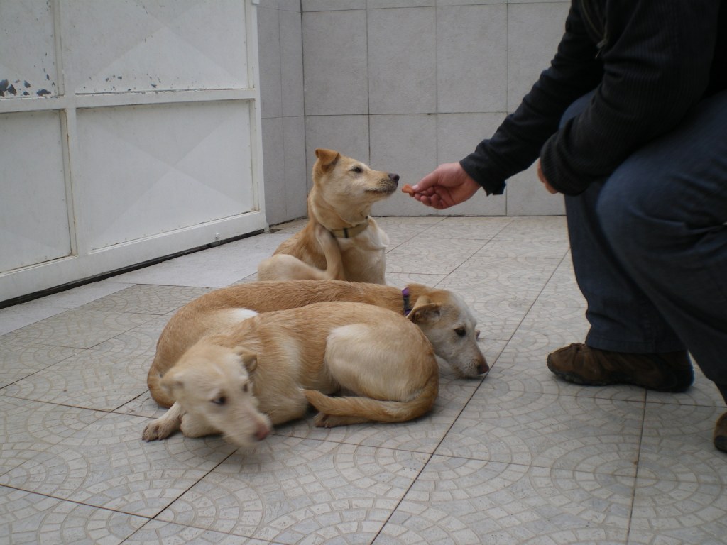 [IMGP3032.JPG]