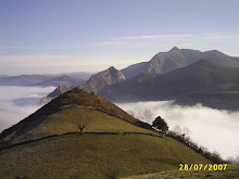 BELERDA,LA FELGUERINA