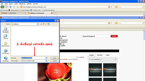 wallpapers-background
