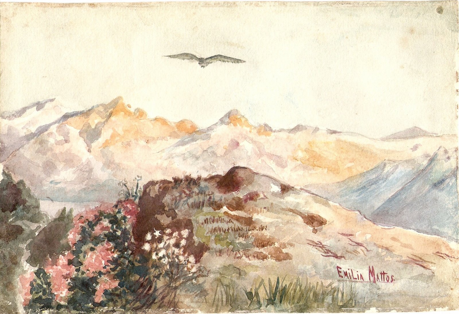 [Digitalizar0046.jpg]