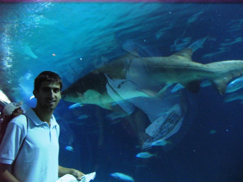 [baciato_dallo_squalo.jpg]