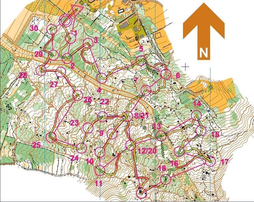 [marter_teno_2009.jpg]