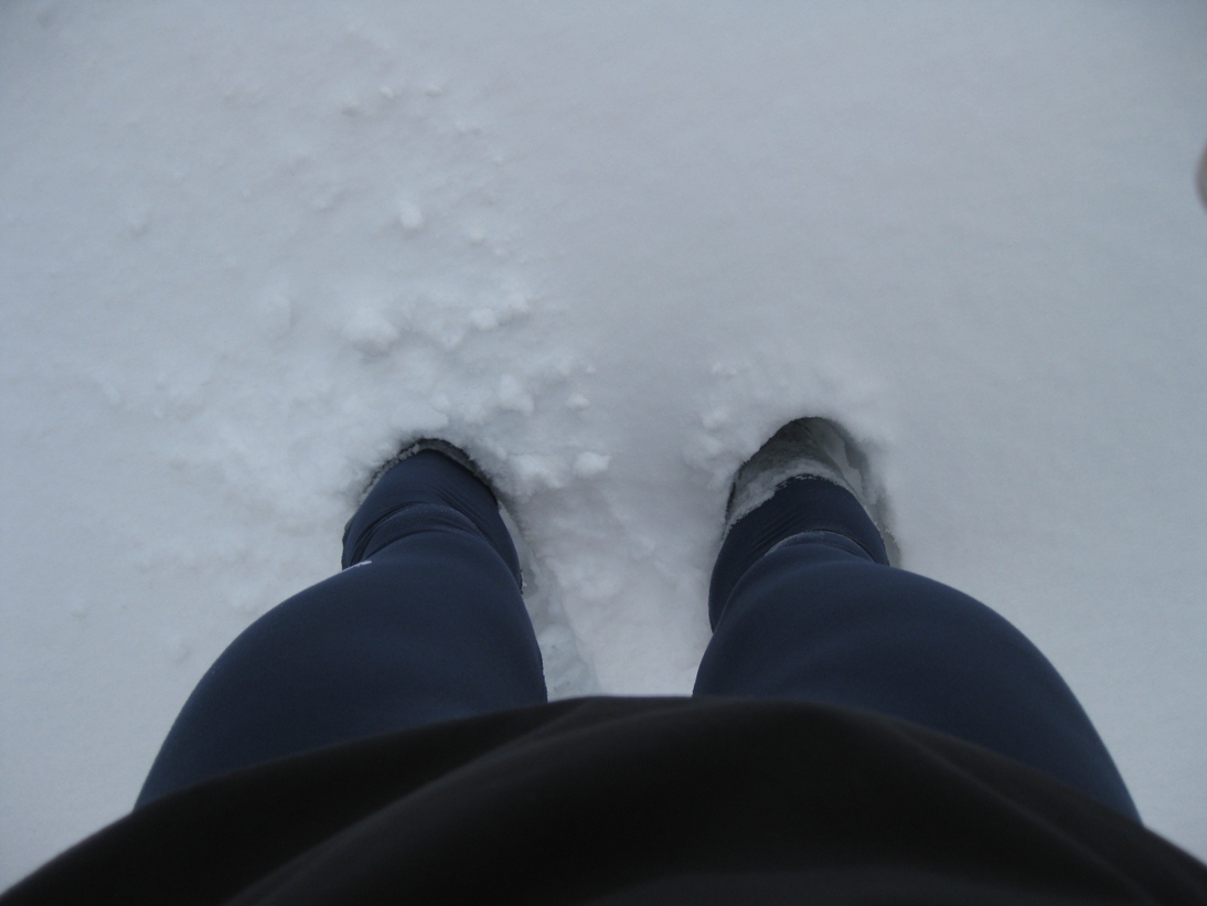 [white_training+(4).jpg]