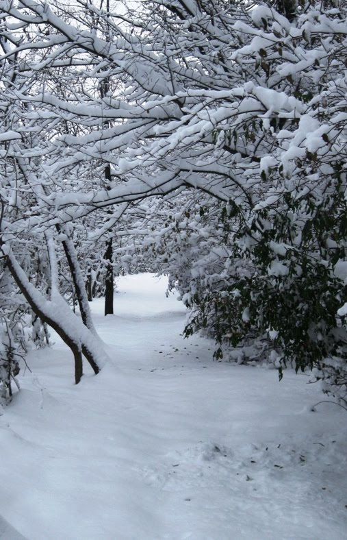 [white_training+(9).jpg]