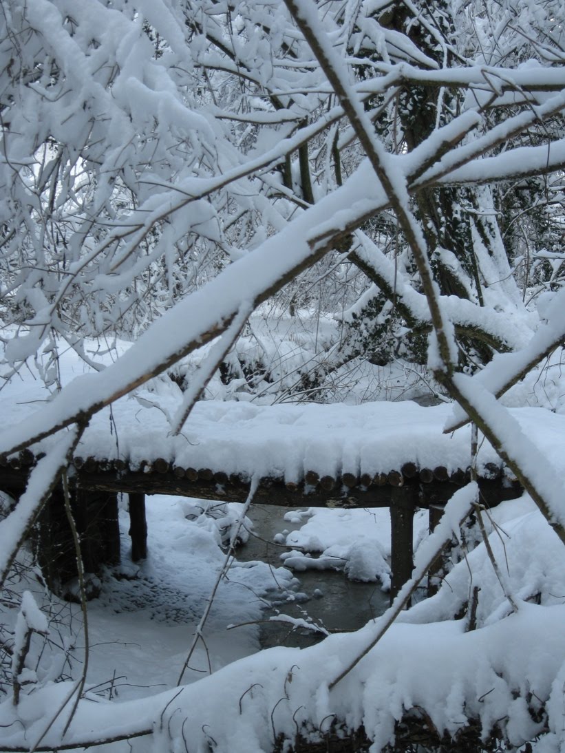 [white_training+(6).jpg]