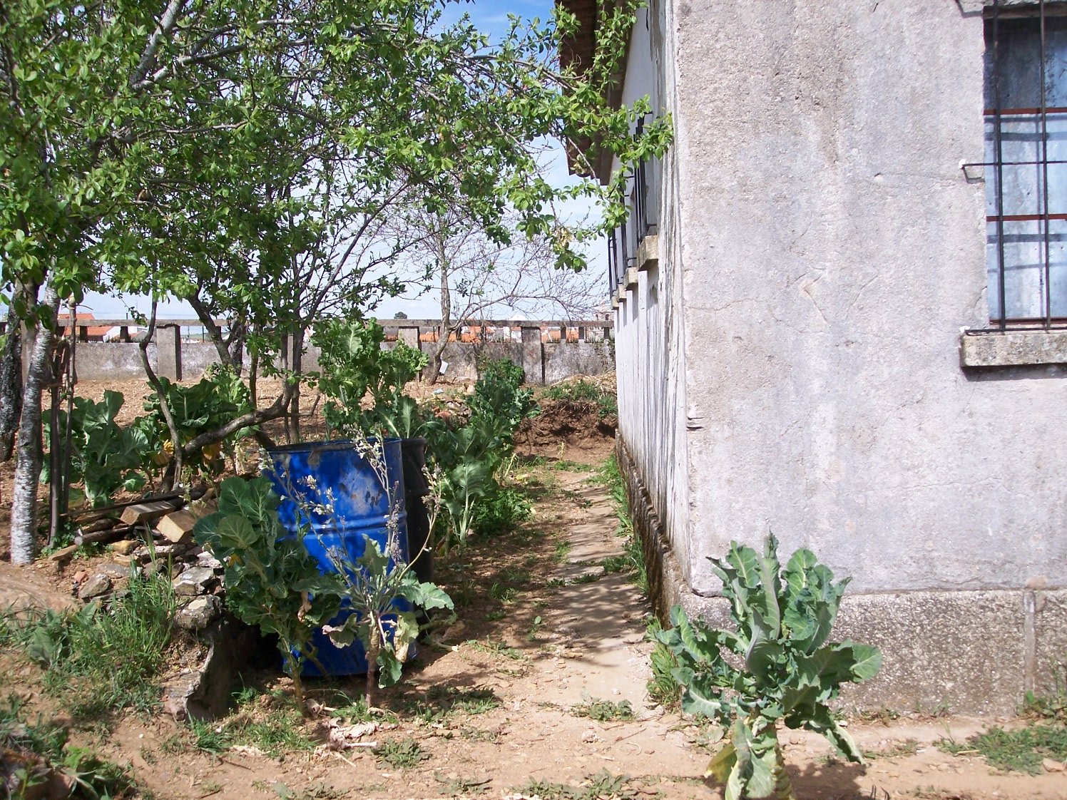 [Festival+Secundário+081.JPG]