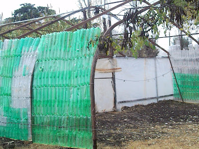 Alumnos de la Escuela de Educación Agraria N° 1 de Gral la Madrid
