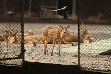 န Kolkata, 7 August :
