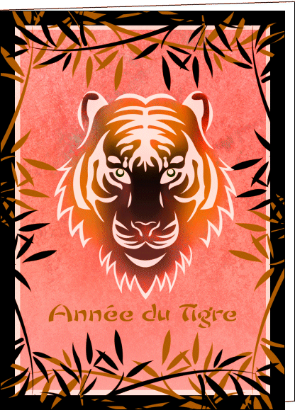 [491-Annee+du+tigre_maxi.gif]