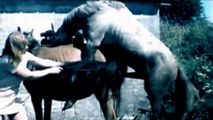 365 Dokumentarci The Dark Side Of Porn The Real Animal Farm 2006